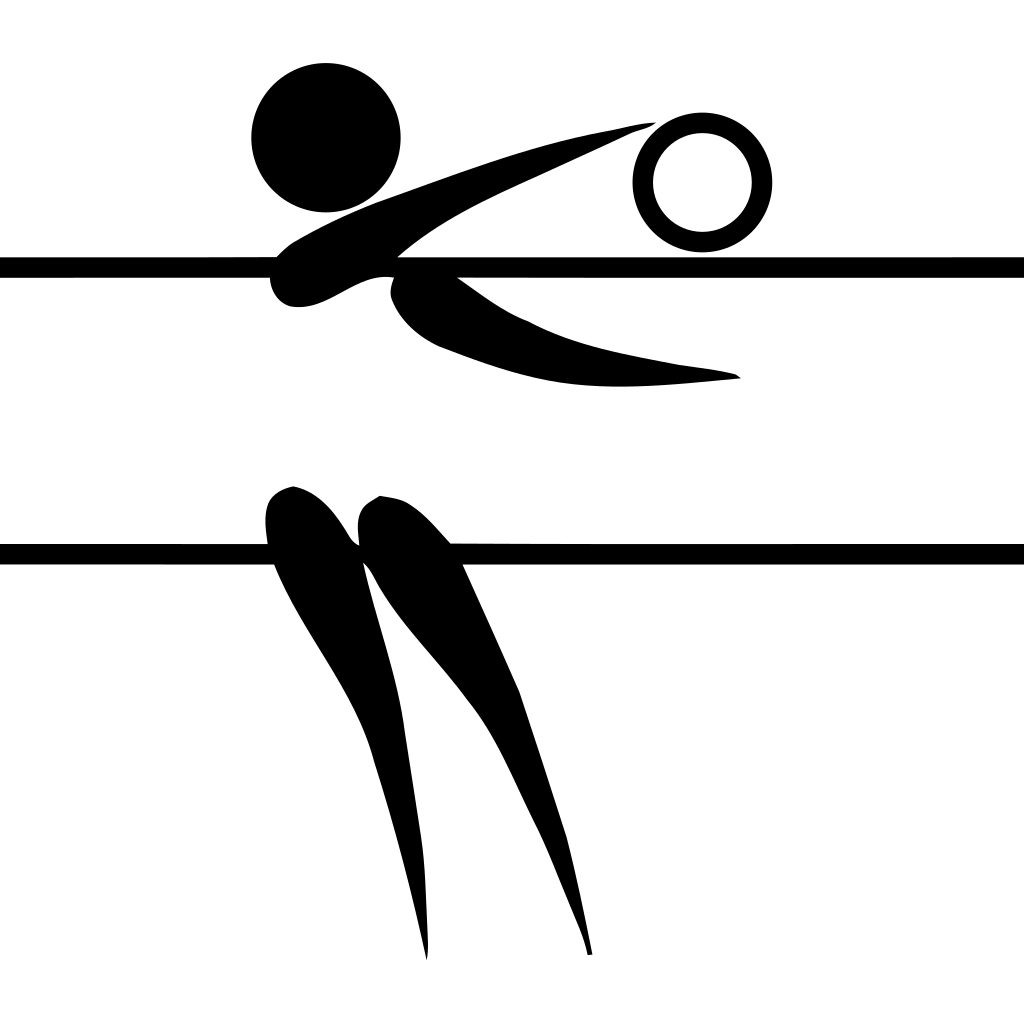 排球(2)